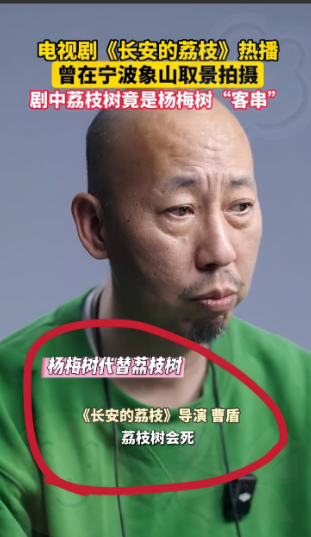 《长安的荔枝》陷'以梅充荔'争议！导演曹盾被批'偷懒式拍摄'